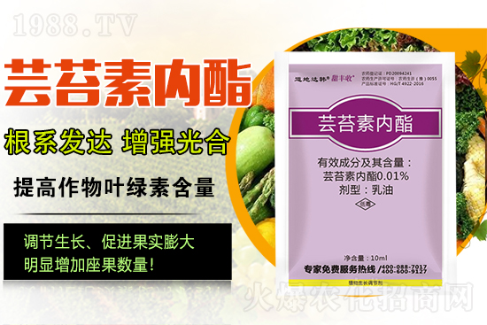 �|̦�؃�(n��i)����ɶ���Q(ch��ng)��ֲ�����ˎ���|̦�؃�(n��i)����ô�x��