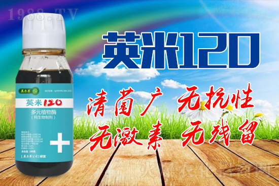 ��轰׷۲��İY����ʲô����轰׷۲����η�����