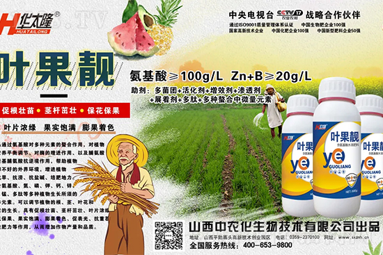     �O������(g��)С��ʲôԭ������Q��(du��)������Щ��