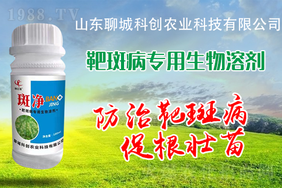 �S�ϰа߲�Σ��������أ����δ�ʩ����Щ��