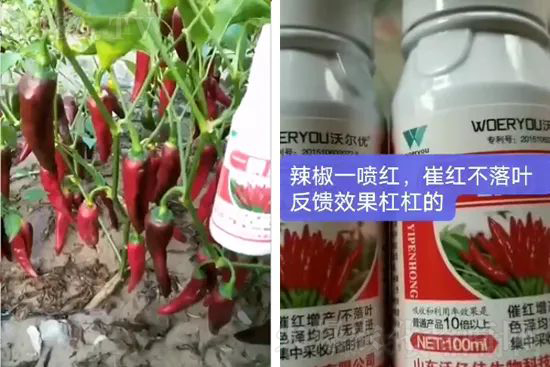 ���t�����95%���߼t�����~�����뷭�׷�����������һ���t��