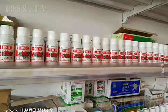 ���t�����95%���߼t�����~�����뷭�׷�����������һ���t��