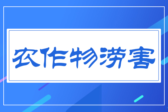 �r�����