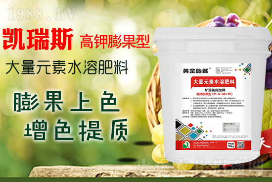     ���M(j��n)���������ɫ���@��(g��)�䷽��(zh��n)�]�e(cu��)���������|(zh��)���a(ch��n)��