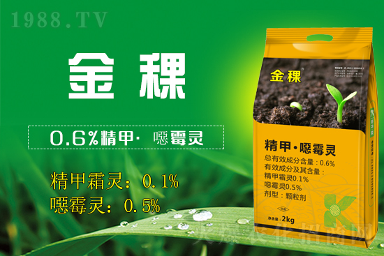 ���ս���������v1988.TV���_���W(w��ng)�j(lu��)������������