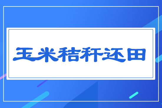 ���׽ն�߀��