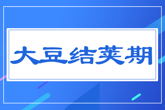 �󶹽Y(ji��)�v��