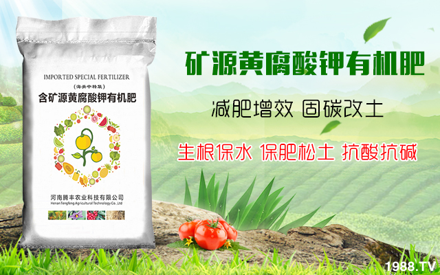 �v�S�r(n��ng)�I(y��)