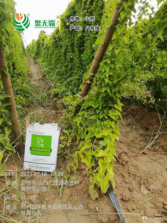 �������߾�+���S����-��̖��-�۟o��4