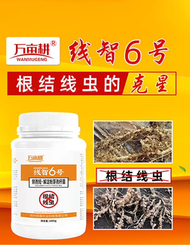 ����6̖(h��o)-��ķ��_01