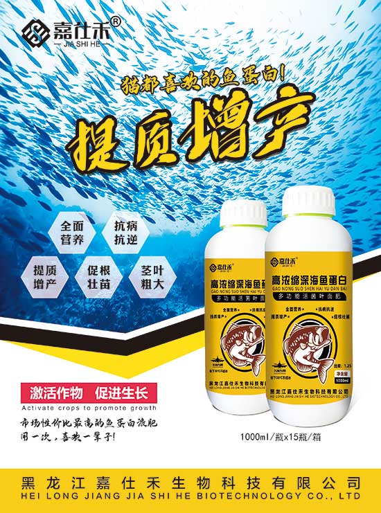 ���˺̆�퓣���~���ף�