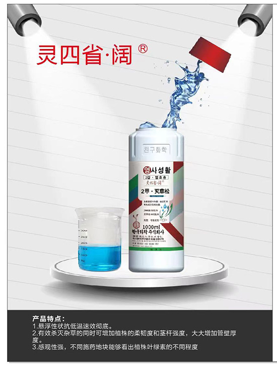 2�ס������-�`��ʡ���-�n�ѻ��W(xu��)