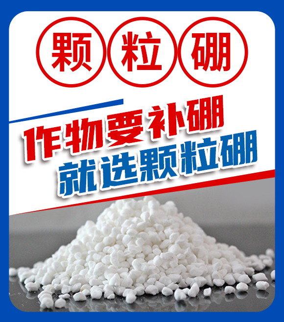 ɽ�|��(r��n)������Ƽ����޹�˾-�֙C(j��)վ(���壩