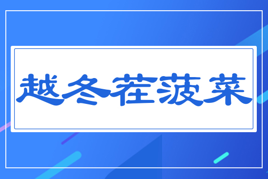 Խ���粤��