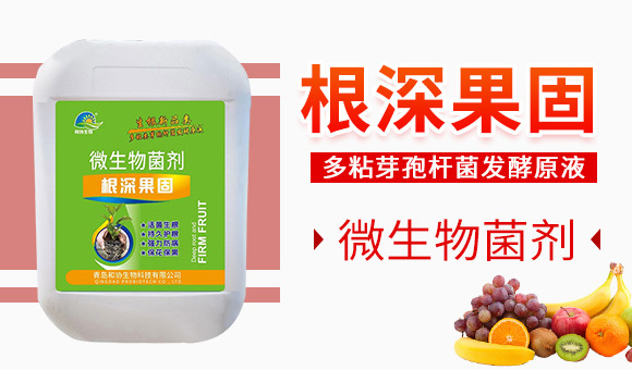 �������-�ͅf(xi��)����_03