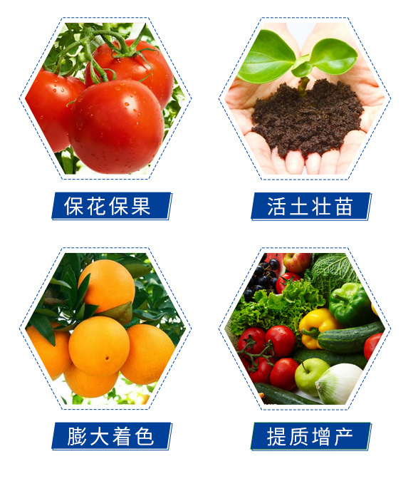 �������|�_ʩ��-�Θ���_05