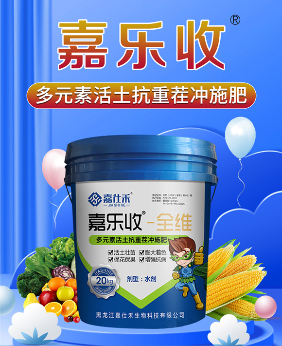 �������|�_ʩ��-�Θ���_01