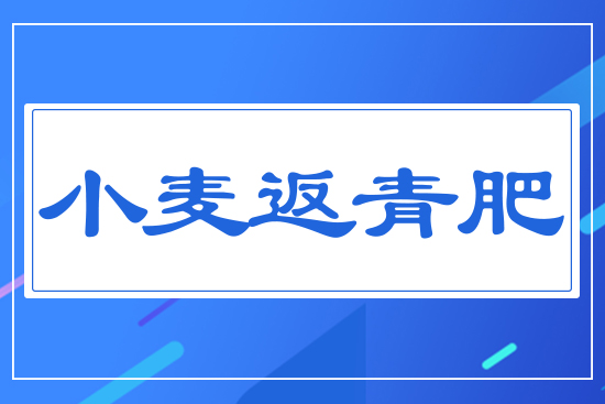 小麥返青肥