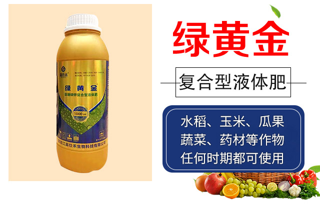 �G�S��-���˺�_02