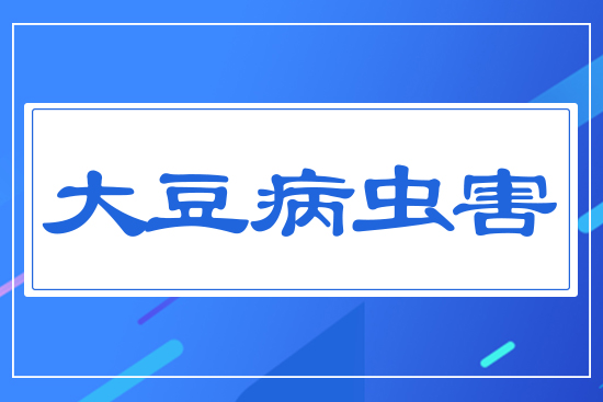 大豆病蟲(chóng)害