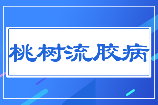 百科推薦1