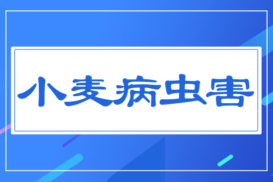 С�����x(ch��ng)��