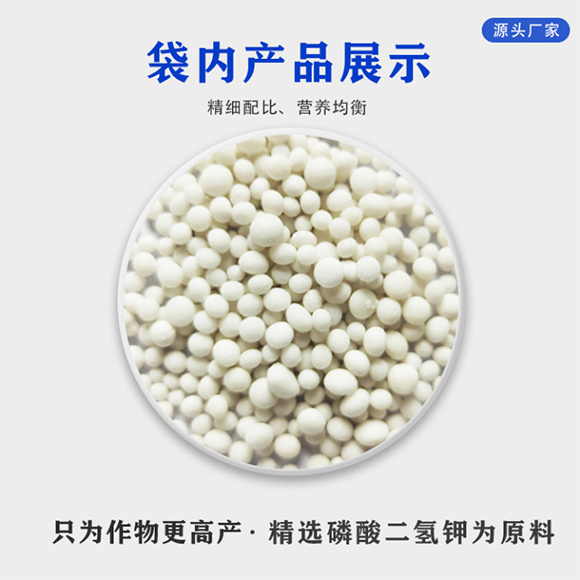 ���׌������������͏ͺϷʷ���25-10-16-�R���-�r(n��ng)������2