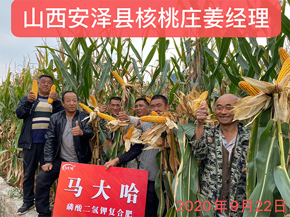 ���׌������������͏ͺϷʷ���25-10-16-�R���-�r(n��ng)������4