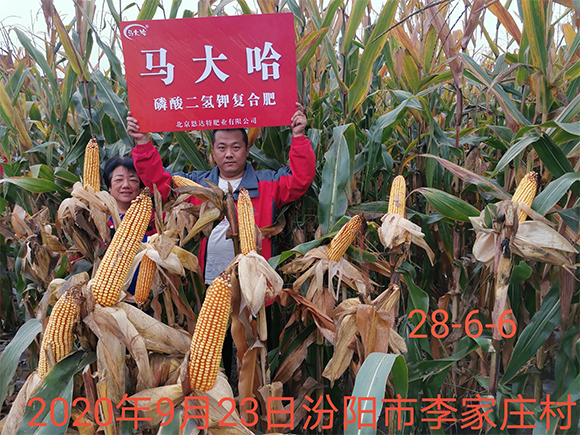 ���׌������������͏ͺϷʷ���25-10-16-�R���-�r(n��ng)������6