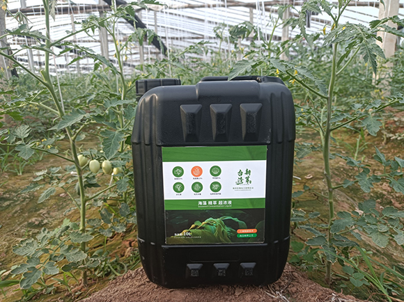 ���徫�ͳ���Һ-�_(t��i)����ѿ2