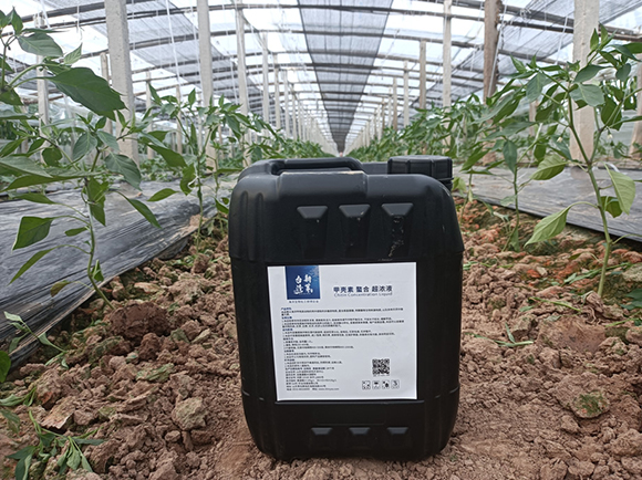 Ͱ�b�ך������ϳ���Һ-�_����ѿ2