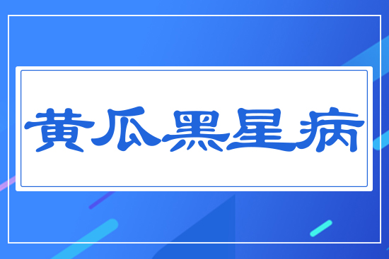 �S�Ϻ��ǲ�