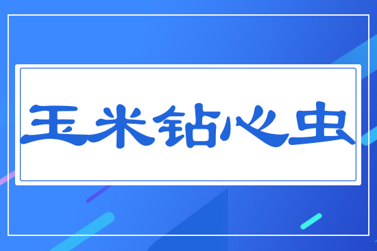 �����@���x(ch��ng)