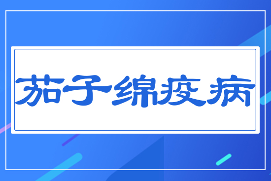 ���Ӿd�߲�