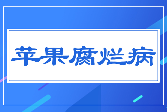 �O(p��ng)��������