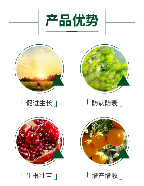 ���o3_03