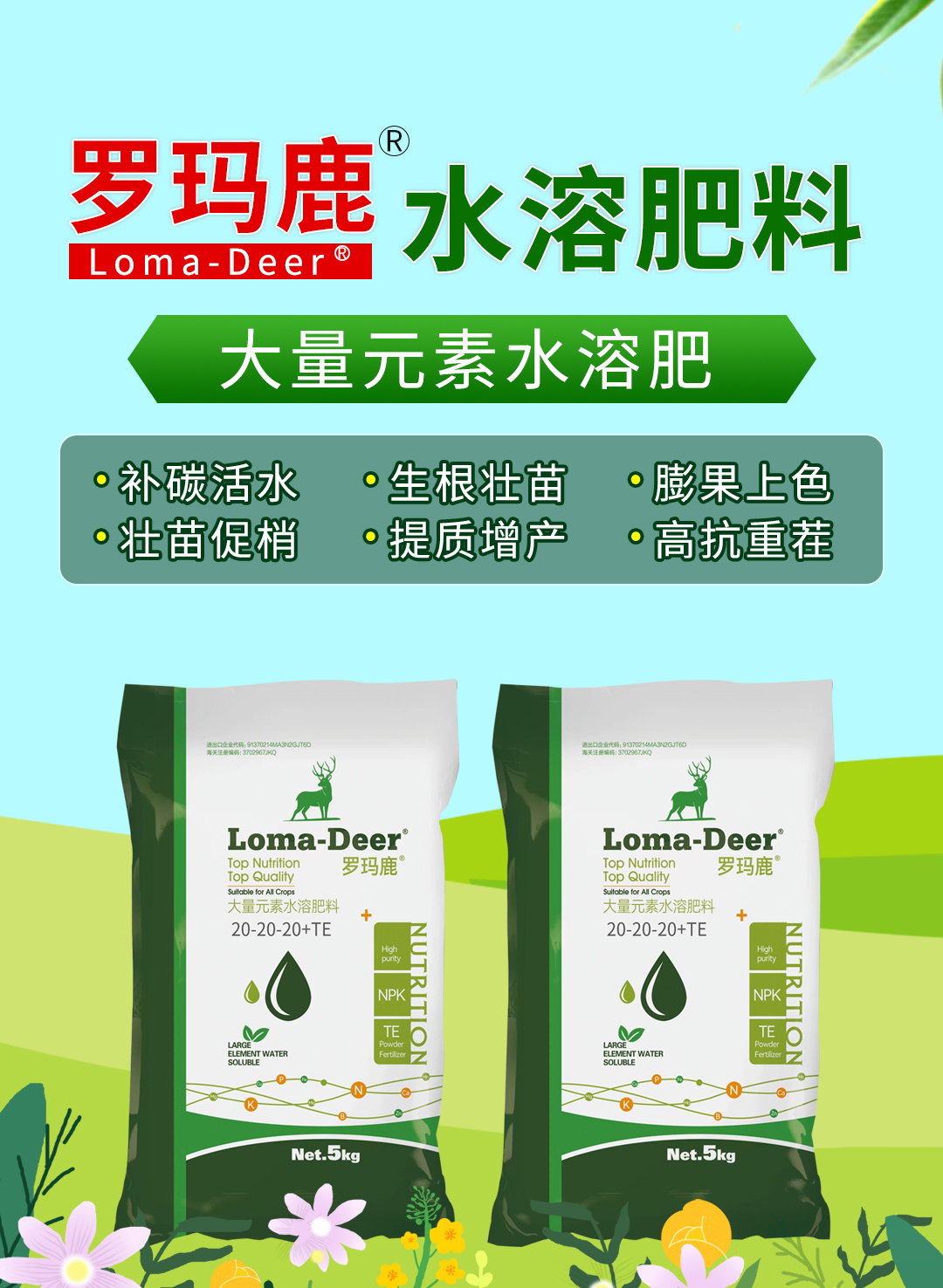 ���u���L�M�������޹�˾02