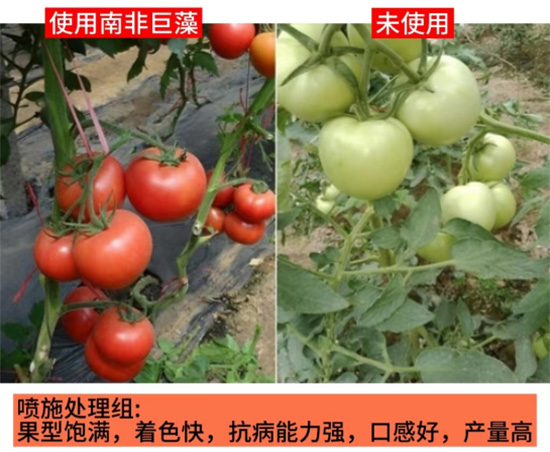 δ��(bi��o)�}-1