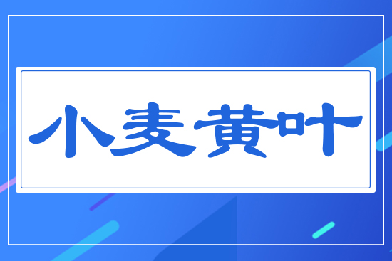 С���S�~
