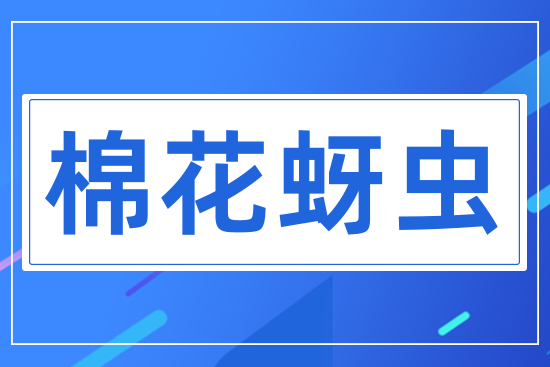 �޻����x