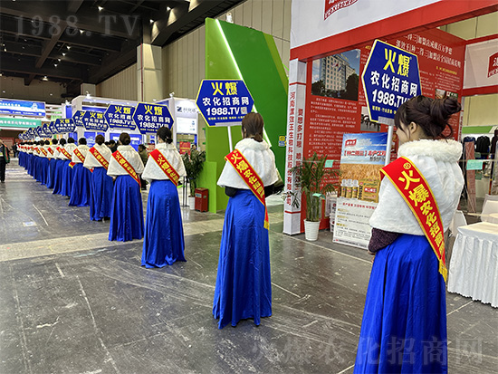 �𱬾W(w��ng)��Ů�Y�x���������2024��ԭ�r(n��ng)�Y�p������