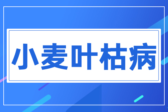 С���~�ݲ�