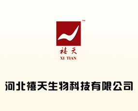 �ӱ���������Ƽ����޹�˾