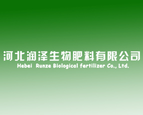 �ӱ���(r��n)������������޹�˾