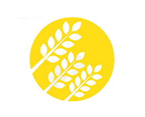 ���u������ʘI(y��)���޹�˾