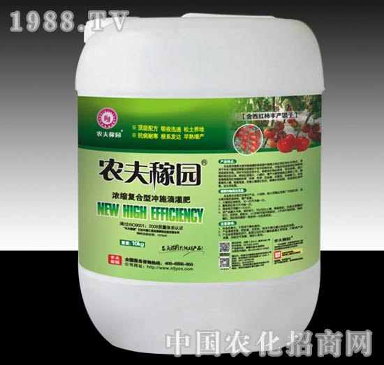 ���t���_ʩ��-�r��ڈ@