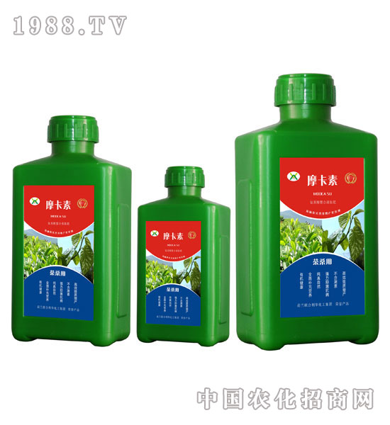 ��ɣ���ð���������Һ�ķ�-Ħ����-��(qi��ng)о��(gu��)�H