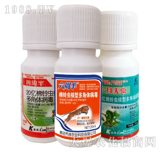 20�|����x���Ͷ���w����-���ܰ�+���ܰ�+һ�o(w��)�x-�P���