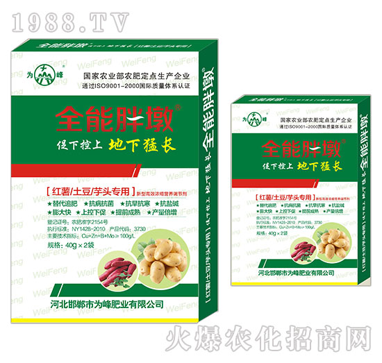 �t�������������^����-ȫ���ֶ�-���