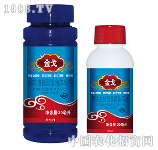 20�|PIB/��������x���Ͷ���w����-���-���{